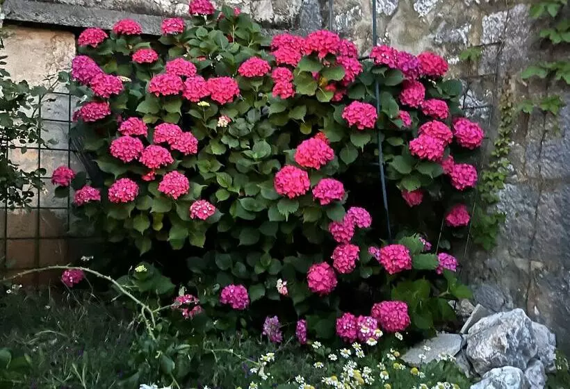 Majatalo Imotski Blaue See Apartments , Pool