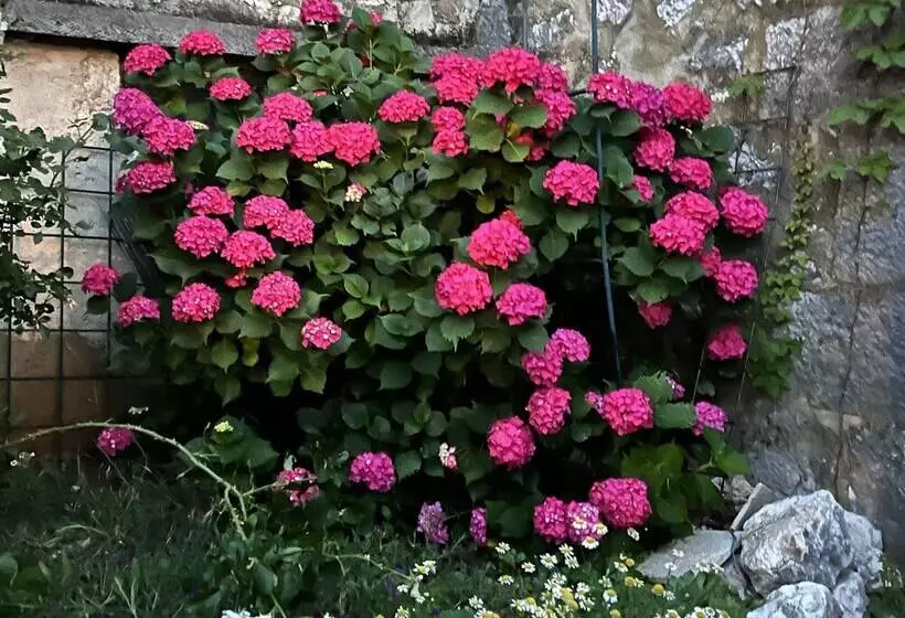 Majatalo Imotski Blaue See Apartments , Pool