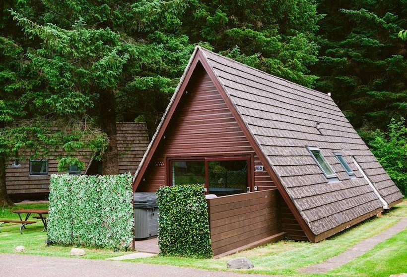 酒店 Bright Star Lodge