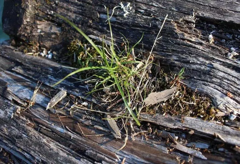 Nocleg ze śniadaniem Pension Inge