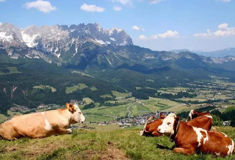 Bed and Breakfast Schnapperhof