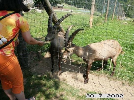 Ferienwohnung Märzinger