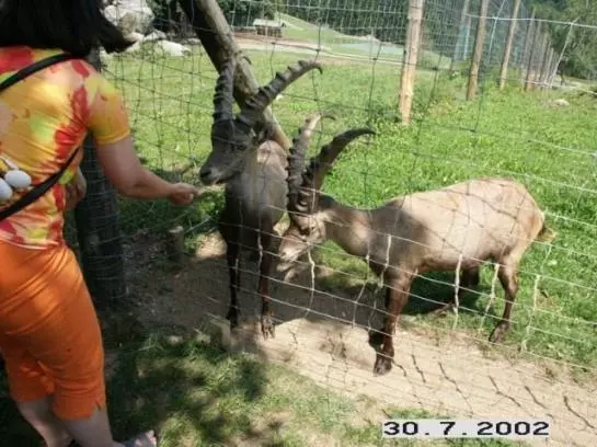 Ferienwohnung Märzinger