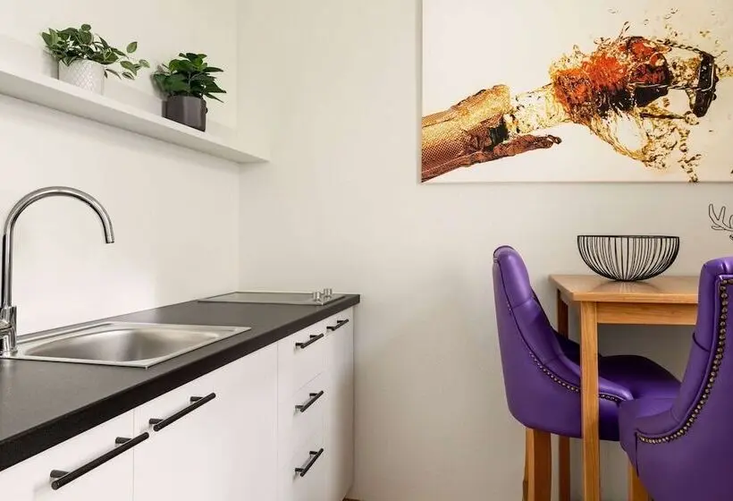 Hotelli DORMERO PaHo Wels