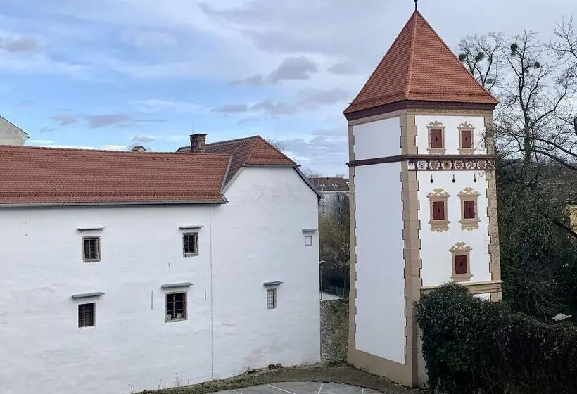 Hotelli DORMERO PaHo Wels