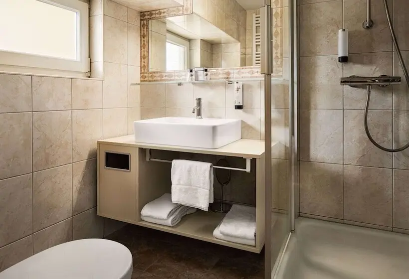 Hotelli DORMERO PaHo Wels