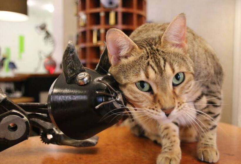 Hôtel Freizeittempel