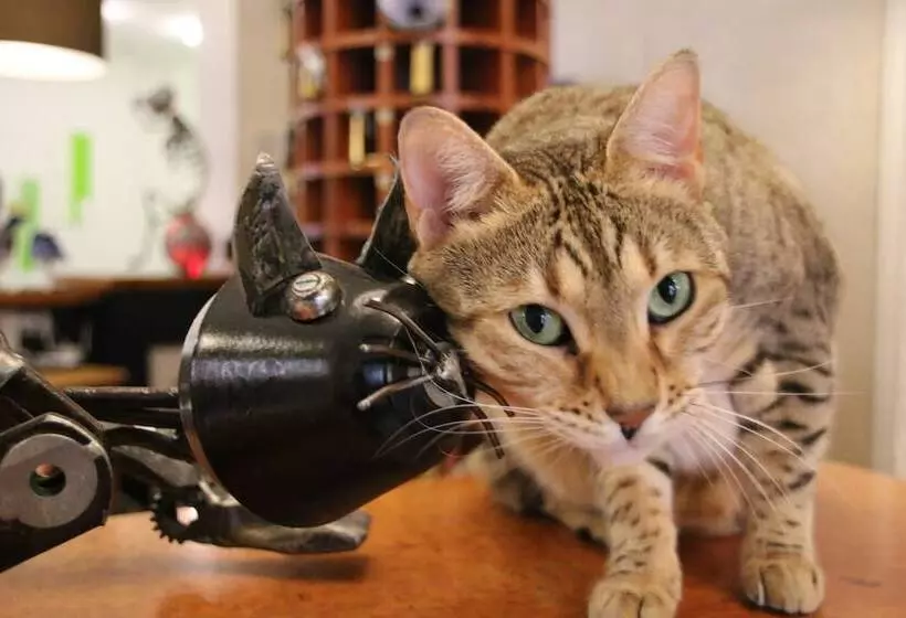 Hotel Freizeittempel