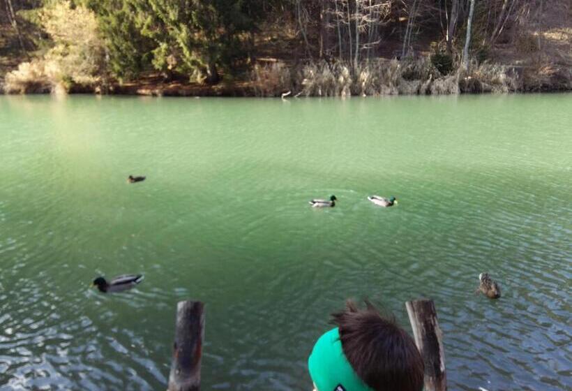 فندق Frühstückspension Gschwandthof