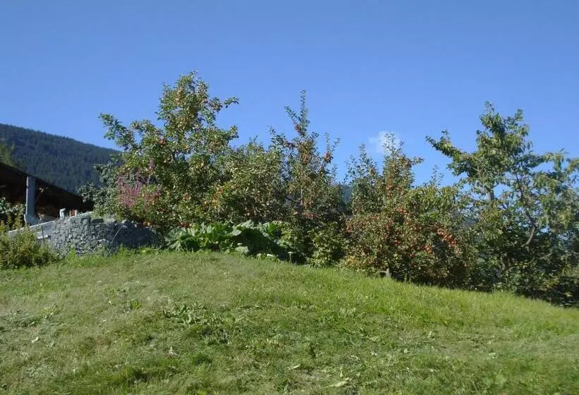 ホテル Haus Venetblick