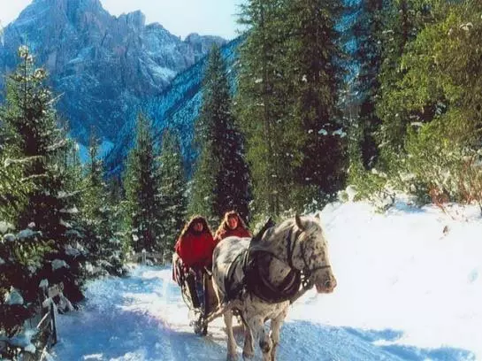 Отель Haus Webhofer Hütte