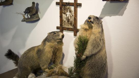 Пансион Koppinger Gästehaus