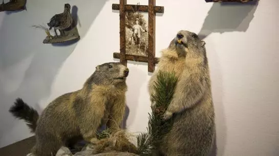 Пансион Koppinger Gästehaus