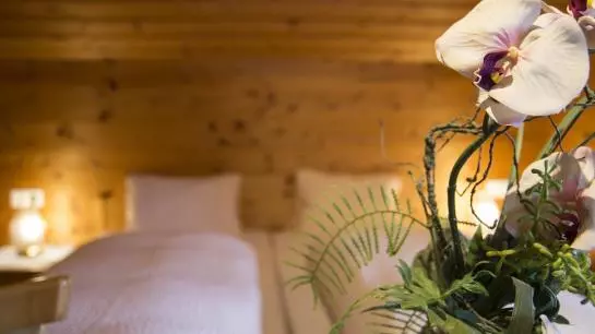 Пансион Koppinger Gästehaus