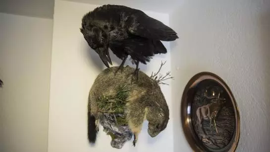 Пансион Koppinger Gästehaus