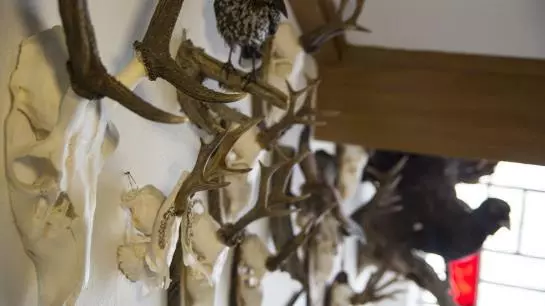 Пансион Koppinger Gästehaus