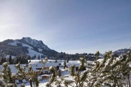 Landhaus Wildschütz