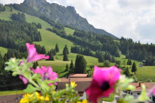 Landhaus Wildschütz