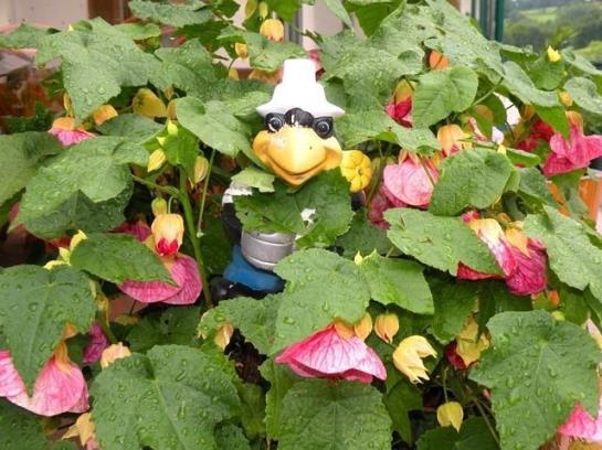 민박 Pension Winter Am Irrsee