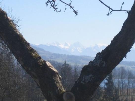 민박 Pension Winter Am Irrsee