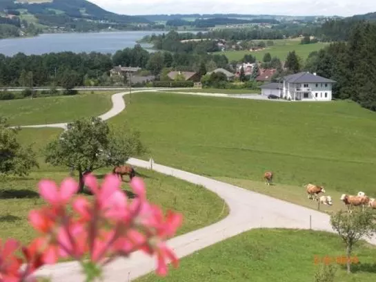 Bed and Breakfast Pension Winter Am Irrsee