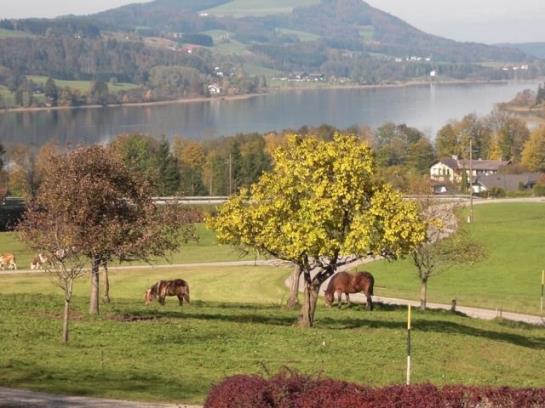 민박 Pension Winter Am Irrsee