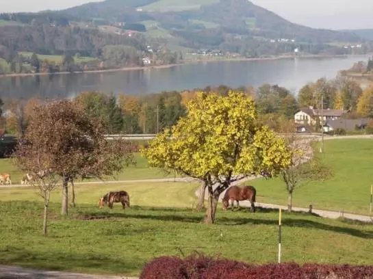 Bed and Breakfast Pension Winter Am Irrsee