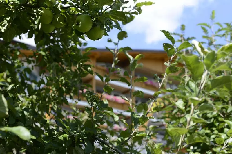 Отель Talhof Garni&more In Wängle Bei Reutte