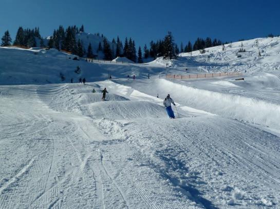 Bed and Breakfast Tegelhof Pension