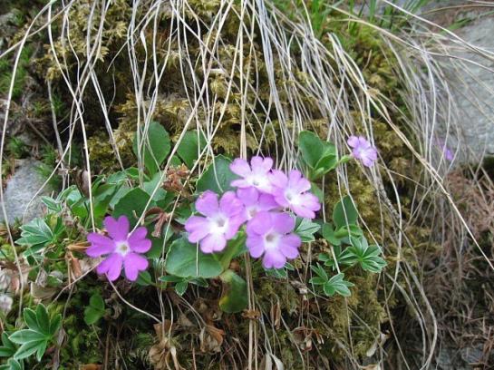 酒店 Vitalhof Der Veitenhof