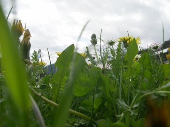 酒店 Vitalhof Der Veitenhof