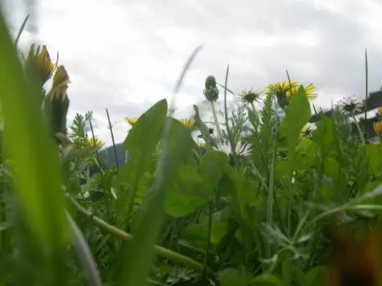 Отель Vitalhof Der Veitenhof