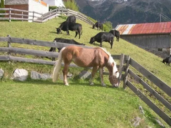 Отель Vitalhof Der Veitenhof