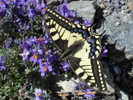 酒店 Vitalhof Der Veitenhof