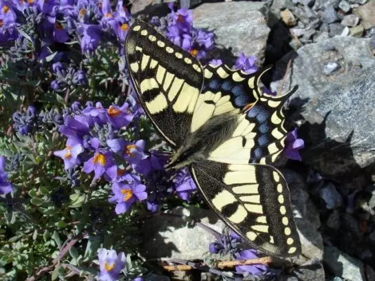 Отель Vitalhof Der Veitenhof