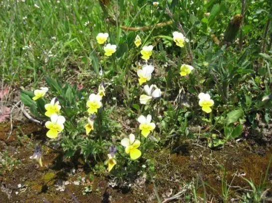 Отель Vitalhof Der Veitenhof