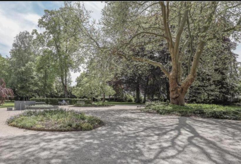 Пансион Gästehaus Am Stadtpark