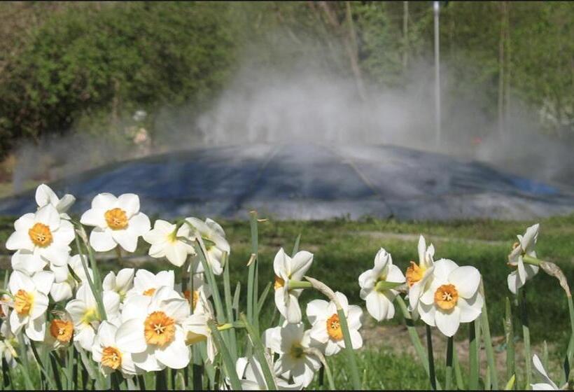 Пансион Gästehaus Am Stadtpark