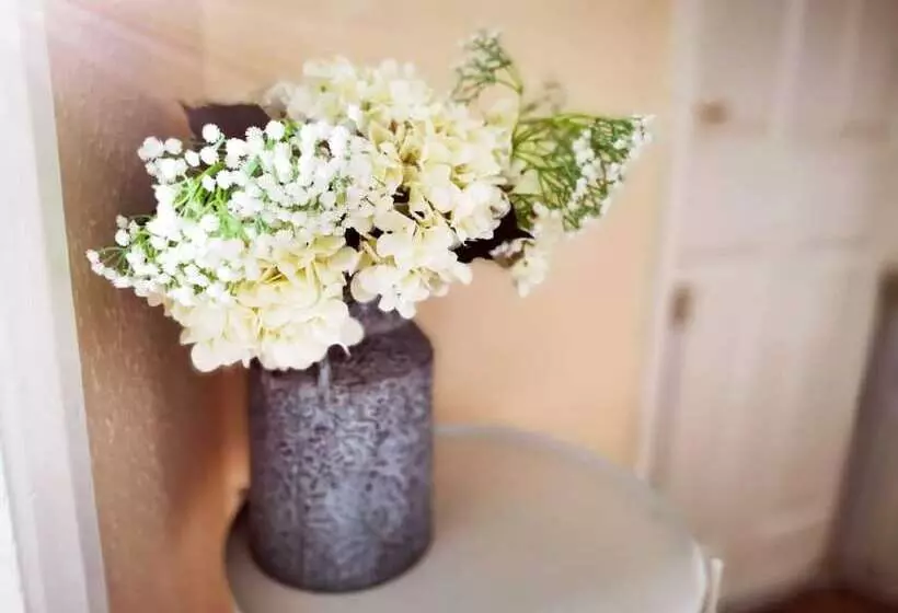 Beachcomber Seafront Pet Friendly Cottage