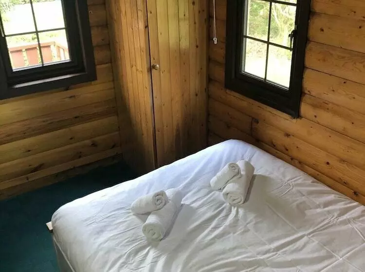 Snowdonia Log Cabin With 2 Beds W/ Private Garden