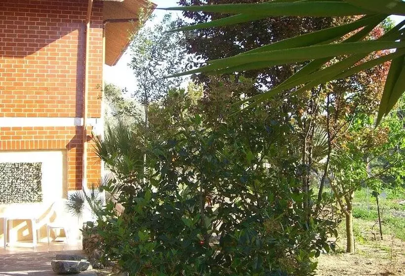 ベッドアンドブレックファースト Sa Domu Sarda   Apartment With Terrace 2