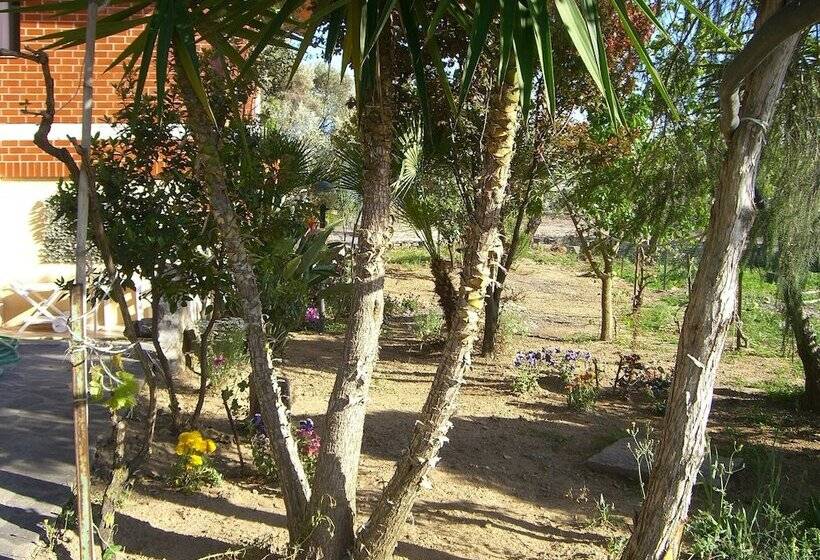 צימר Sa Domu Sarda   Apartment With Terrace 2