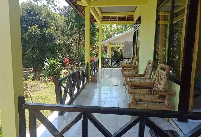 ペンション Bukit Senaru Homestay