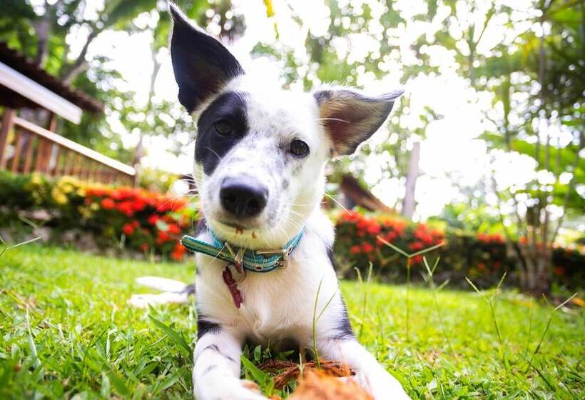 هتل Casa Marcellino Lodge