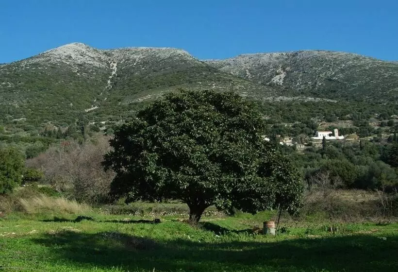 Kalypso Studios & Apartments