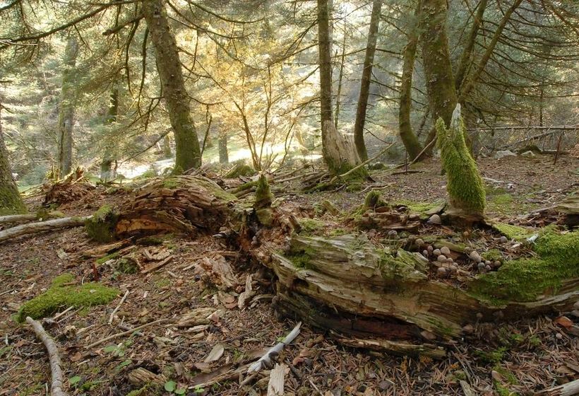 Kalypso Studios & Apartments