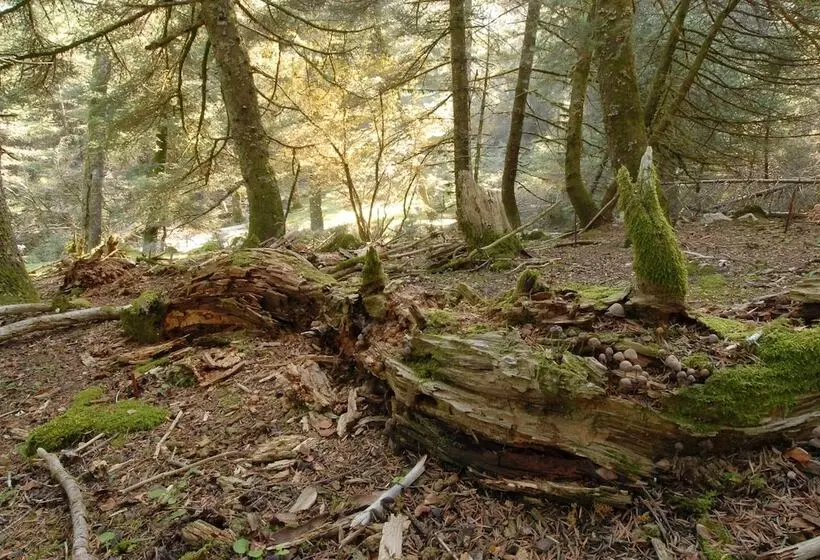 Kalypso Studios & Apartments