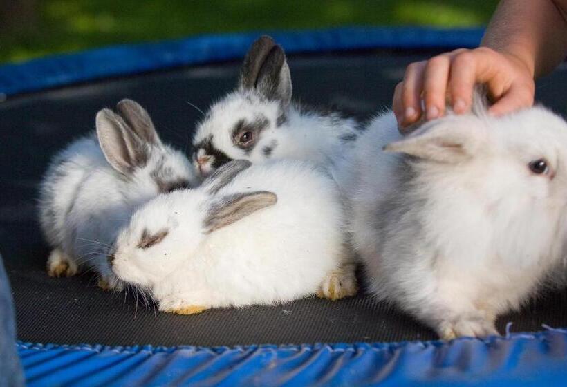Nocleg ze śniadaniem Ladestatthof