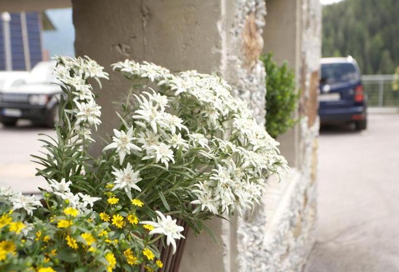 Bed and Breakfast Pension Geiger