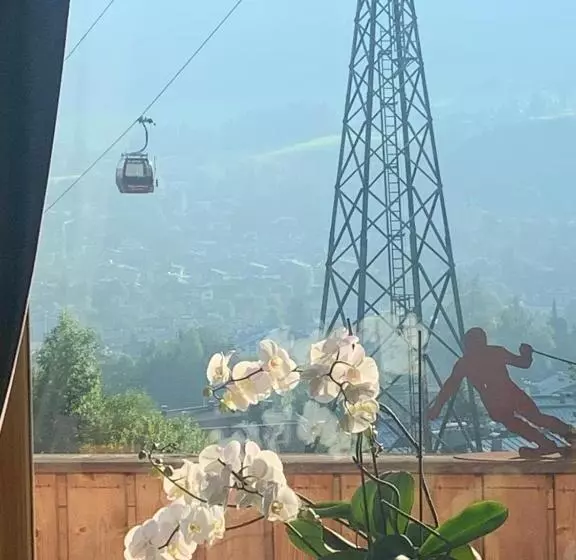 Bed and Breakfast Pension Hinterseer